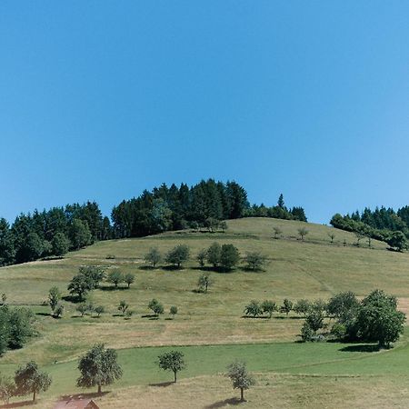 Moderne 2 Zi.-Fewo Blackforest Art Barrierefrei Naehe Freiburg Симонсвалд Екстериор снимка