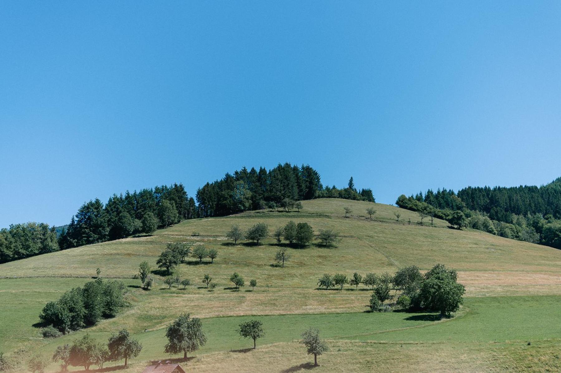 Moderne 2 Zi.-Fewo Blackforest Art Barrierefrei Naehe Freiburg Симонсвалд Екстериор снимка