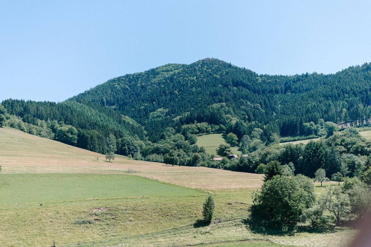 Moderne 2 Zi.-Fewo Blackforest Art Barrierefrei Naehe Freiburg Симонсвалд Екстериор снимка